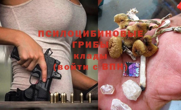 ECSTASY Алзамай